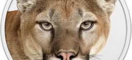 mountain-lion